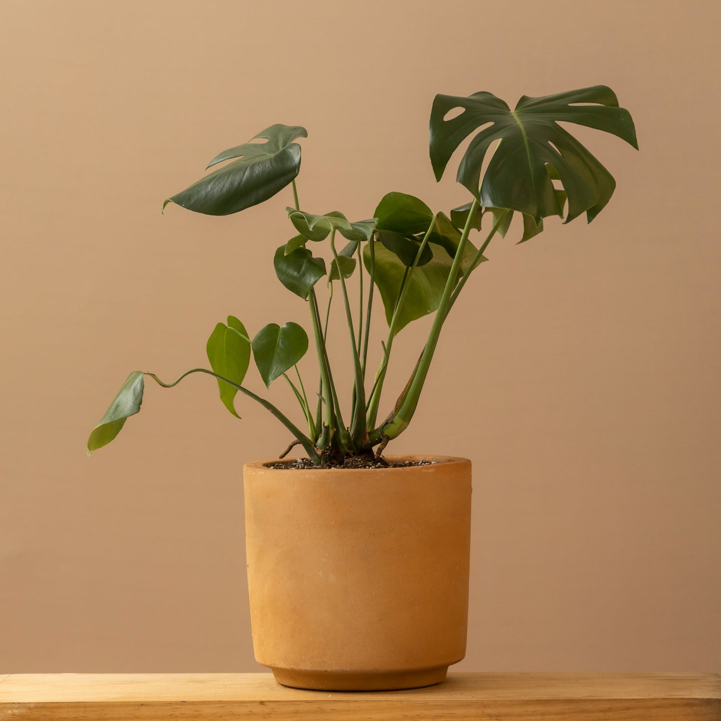 Maceta Cilindro Mini