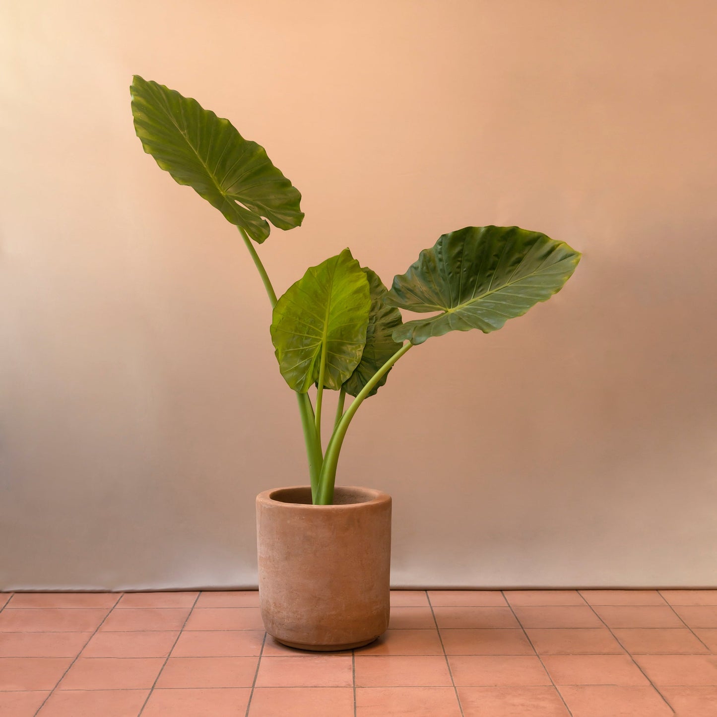 Hoja elegante M