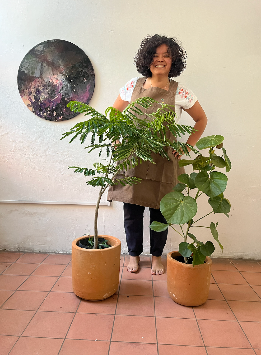 Planta de la semana | Hule Tineke