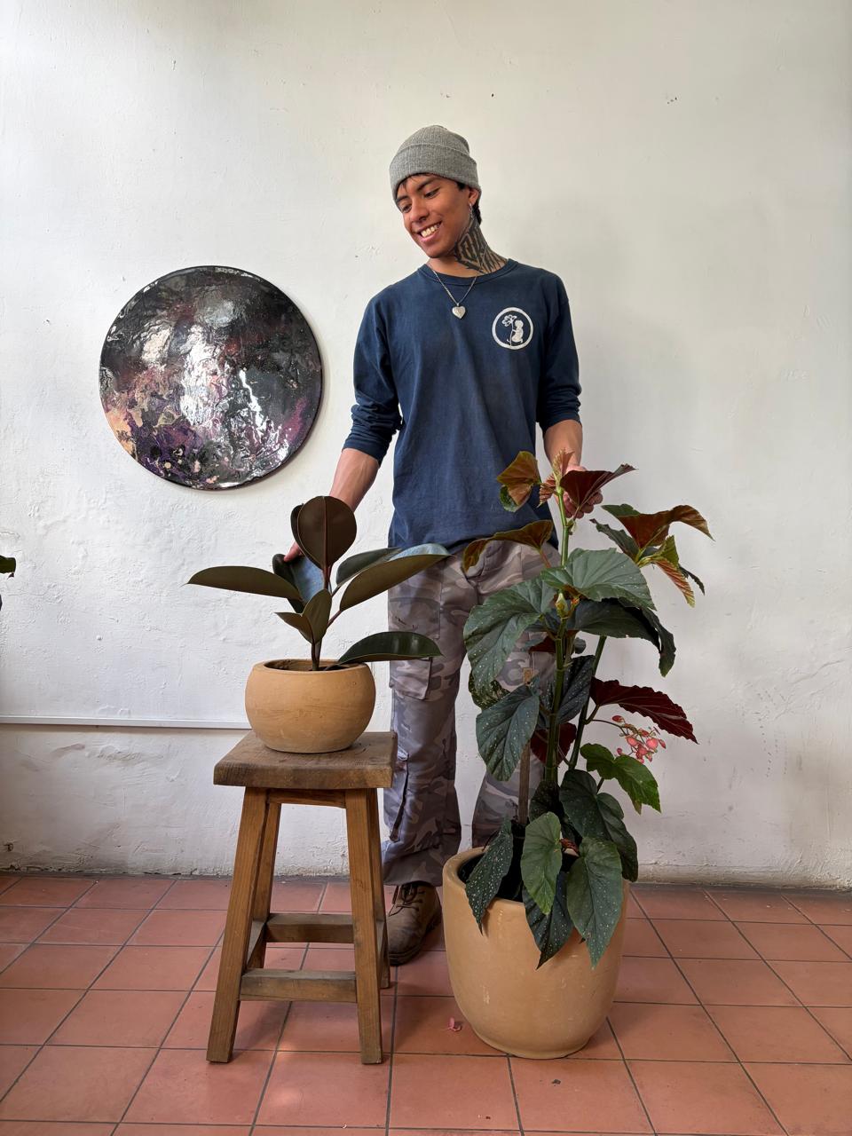 Hule Negro + Begonia ala de ángel.